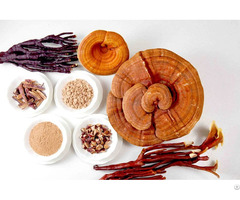 Reishi Extract Polysaccharides