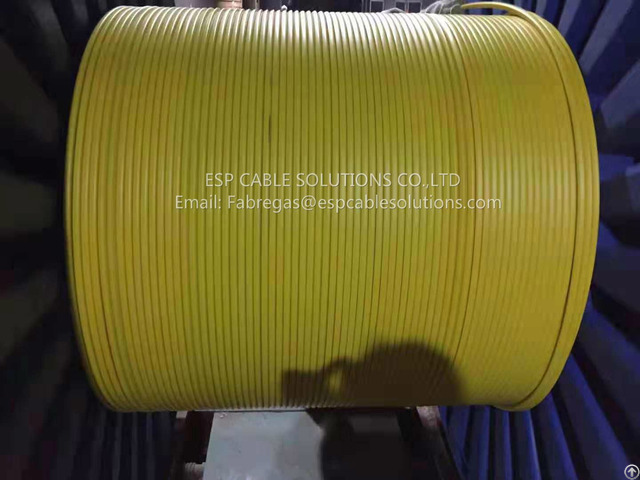 Tubing Encapsulated Cable