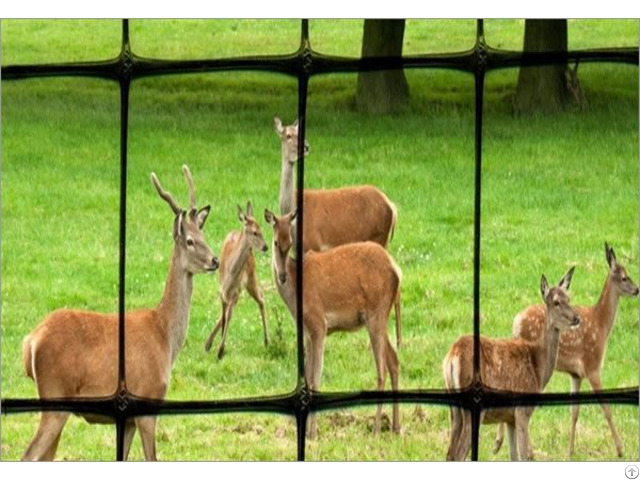 Plastic Mesh Deer Fence