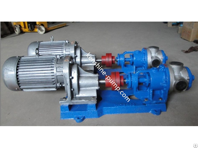 Nyp High Viscosity Fluids Internal Gear Pump