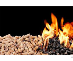 The Important Contribution Of Wood Pellet Machine In New Energy Industry
