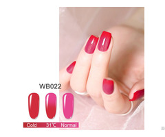 The New Fashion Mood Changing Color Dip Nail