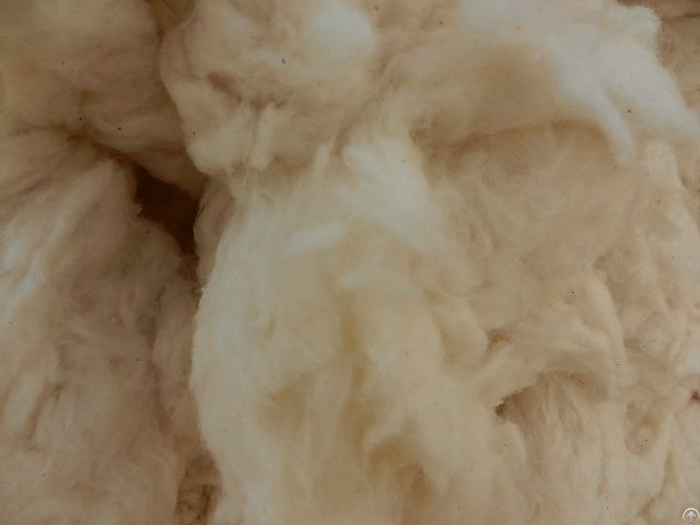 Cotton Waste Comber Noils From Pakistan