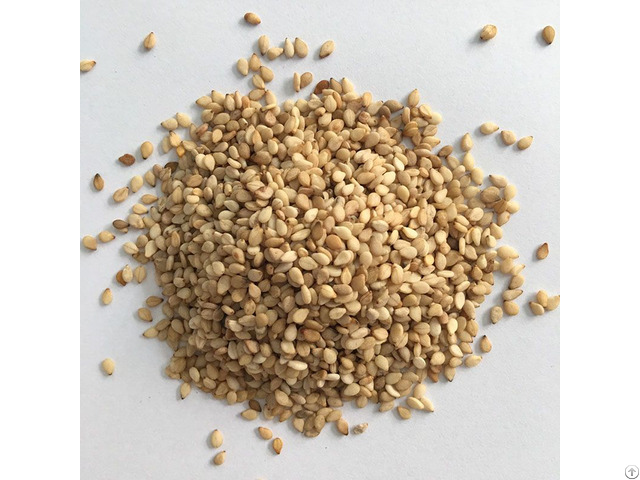 Vietnam Sesame Seeds