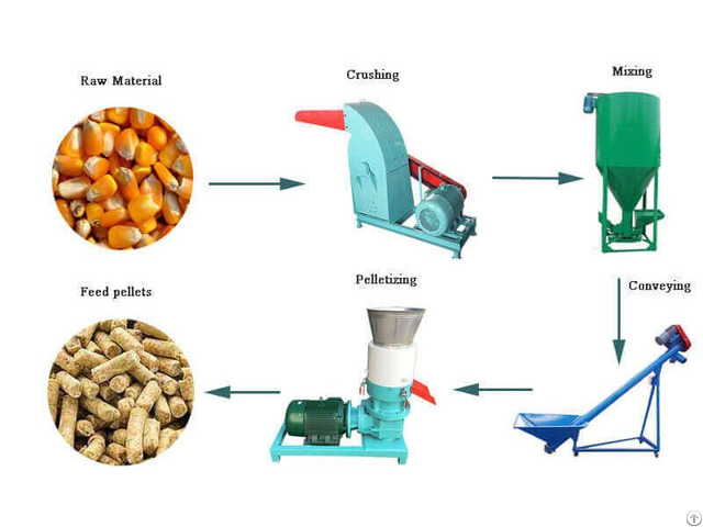 Pellet Processing Equipment Accelerates Development Of The Feed Industry