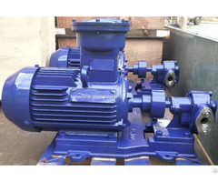 2cy Gear Oil Transfer Pump