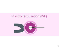 Affordable Fertility And Ivf Treatment