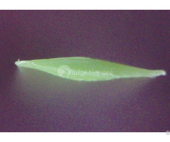 Multi Purpose Synthetic Grass Mt Diamond