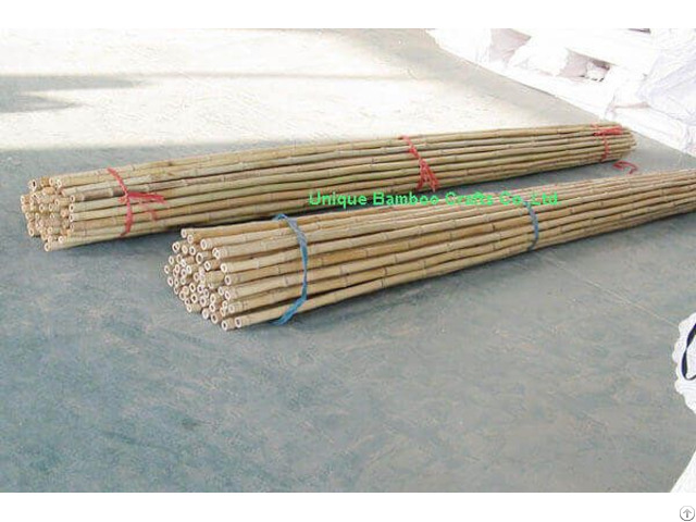 Dry Bamboo Canes For Farm And Garden Plant Supporting