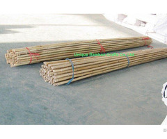 Dry Bamboo Canes For Farm And Garden Plant Supporting