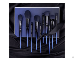 Agreen Make Up For You 10 Makeup Brush Full Set Of Customizable Logo And Colors Blue