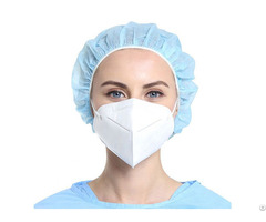 N 95 Particulate Respirator Safety Face Mask
