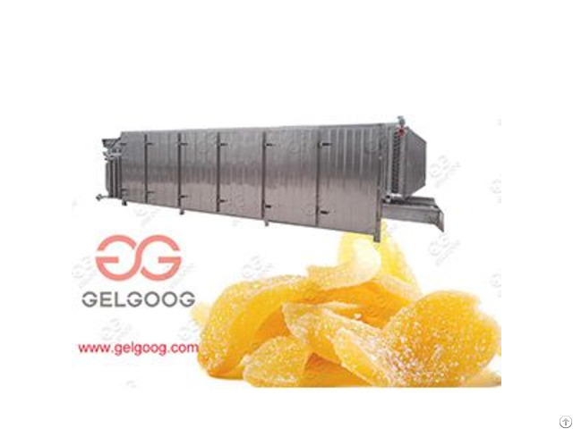 Food Drying Machine