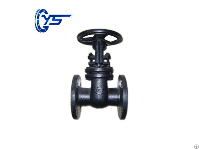 Gost Cast Iron Gate Valve Z44t 10 Z41t 16