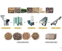 Biomass Pellet Machine Fuel Can Replace Non Renewable Energy