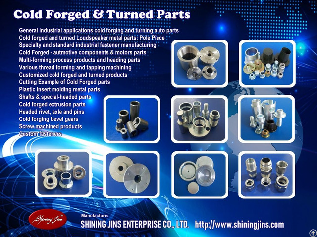 Fasteners Cold Forged Precision Metal Parts