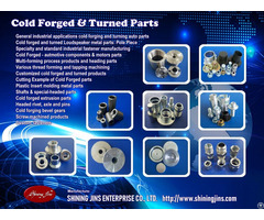 Fasteners Cold Forged Precision Metal Parts