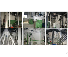 How To Design A Feed Production Line Pellet Plant