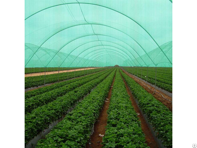 Agricultural Shade Net