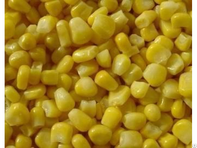 Sell Frozen Sweet Corn