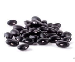 Organic Black Soybean