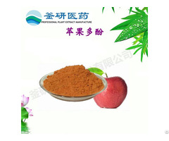 100 Percent Natural Apple Polyphenol Fruit Extract Nutritio
