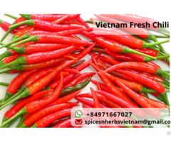Vietnam Fresh Red Chili