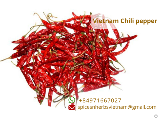 Dried Red Chili Pepper