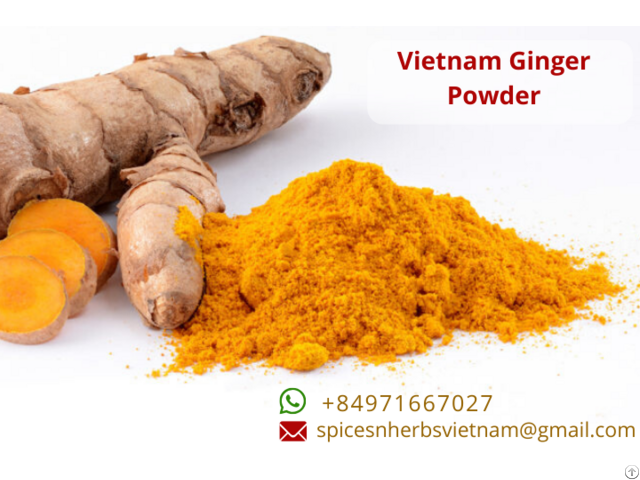 Turmeric Powder Vietnam