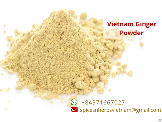 Ginger Powder Vietnam