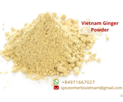 Ginger Powder Vietnam