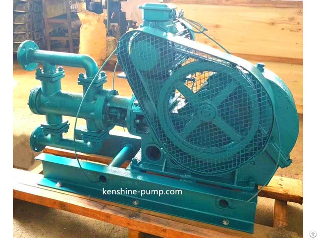 Wbr High Temperature Electric Reciprocating Pump