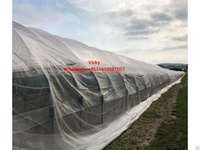 Anti Insect Net For Greenhouse