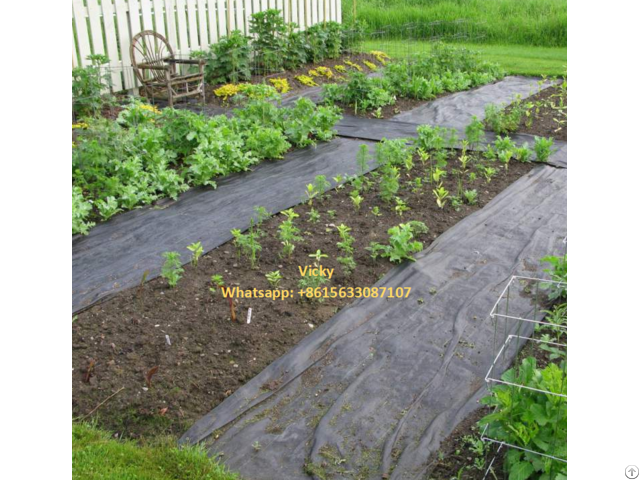 Weed Control Mat