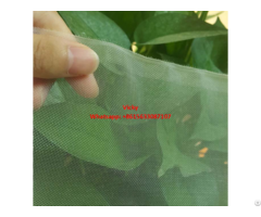 Plastic Mesh Insect Netting Butterfly Net