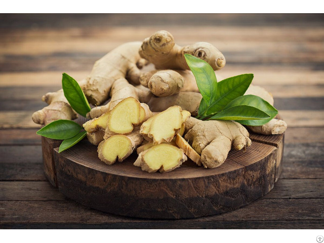 Fresh Ginger From Viet Nam