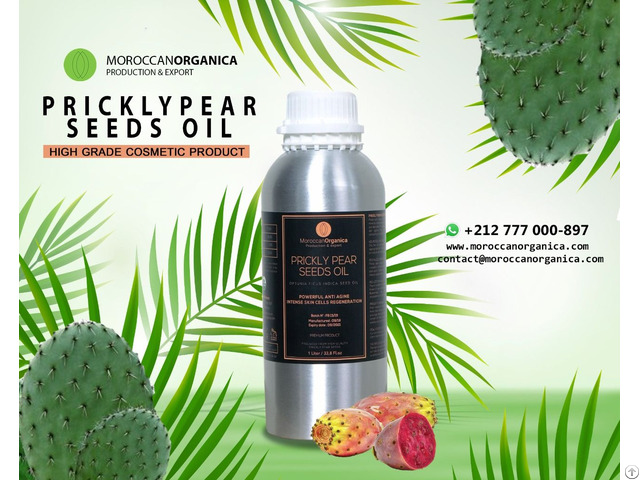 Organic Prickly Pear Seed Oil Wholesale Morocco