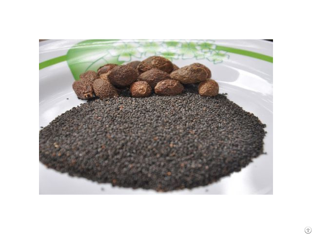 100 Percent Organic Basil Seed From Vietnam