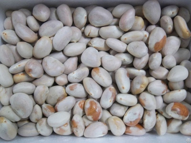 Vietnam Dried Jackfruit Seeds