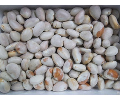 Vietnam Dried Jackfruit Seeds