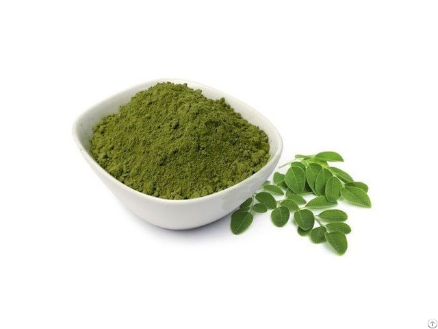 Vietnam Natural Moringa Leaves Powder Wholesale Good Price