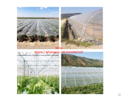 Insect Proof Net Hdpe