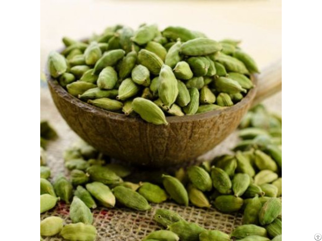 Green Cardamom From Viet Nam