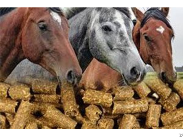 Horse Feed Pellets Analysis And Made