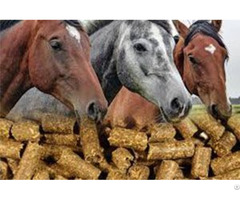 Horse Feed Pellets Analysis And Made