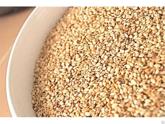 Sesame Seeds Good Price From Vietnam