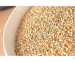Sesame Seeds Good Price From Vietnam