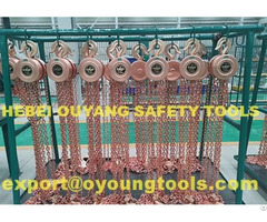 Non Sparking Lifting Chain Hoist Block Range 500 20000kg Atex Copper Beryllium