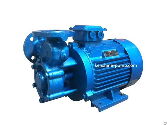 W Single Stage Vortex Pump