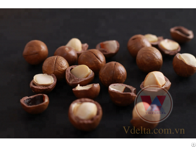 Macadamia Nuts From Viet Nam